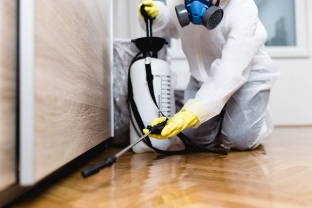 Flea Control Services in Carson, WA