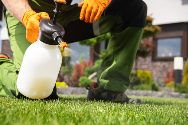 Best Wasp Removal Services  in Carson, WA