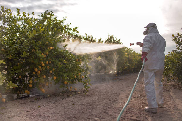 Trusted Carson, WA Pest Control Experts