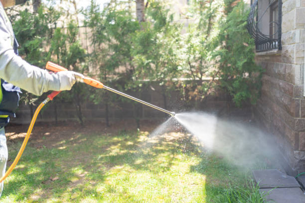 Best Spider Control Near Me  in Carson, WA