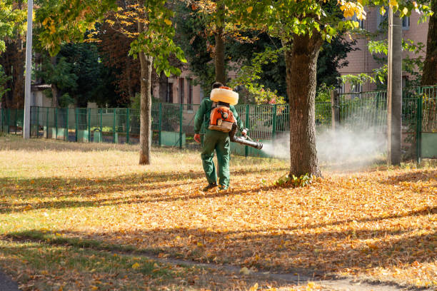 Best Best Pest Control Companies  in Carson, WA